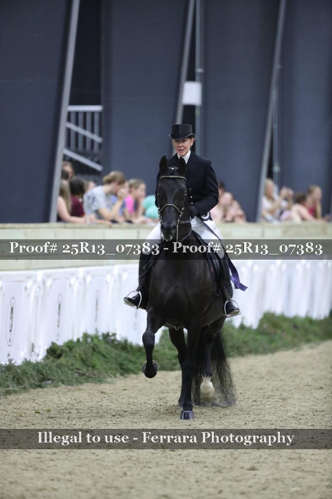 Proof Number 25R13_07383