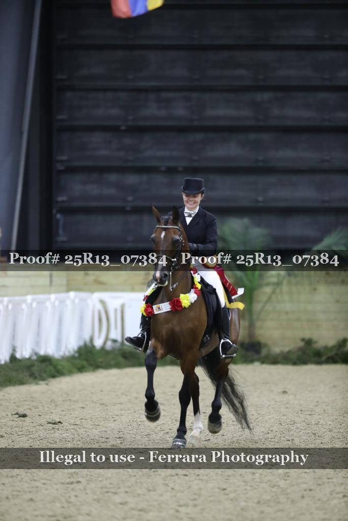 Proof Number 25R13_07384