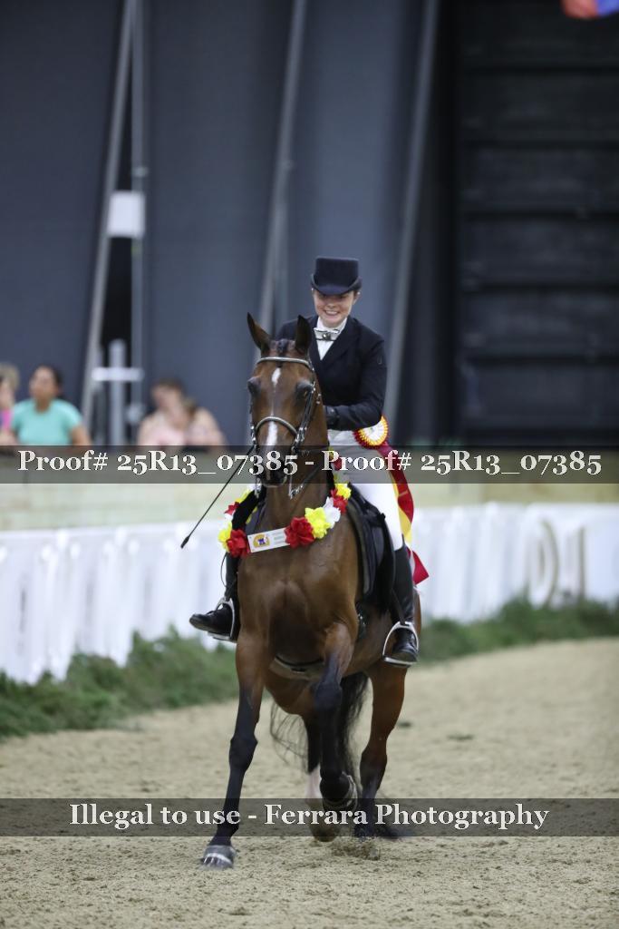 Proof Number 25R13_07385