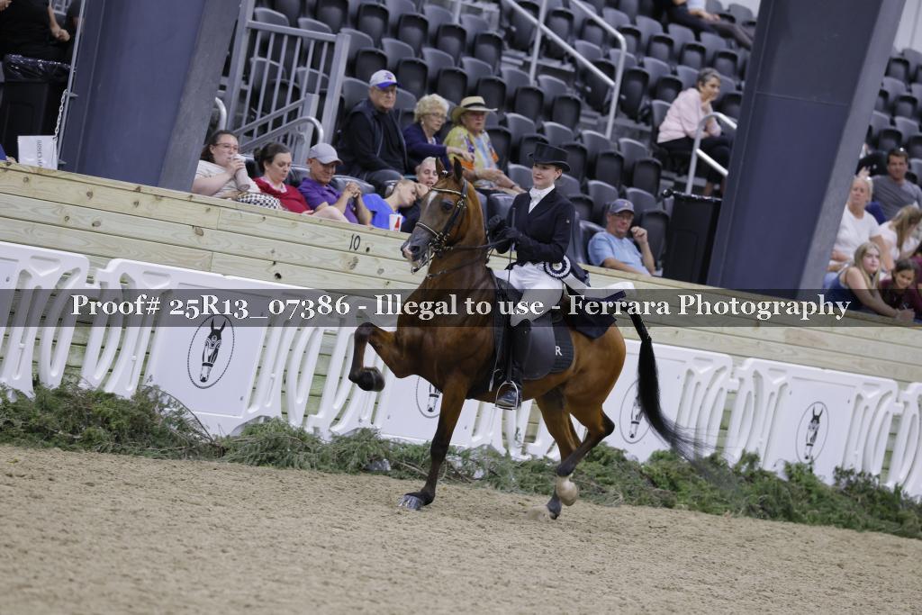 Proof Number 25R13_07386