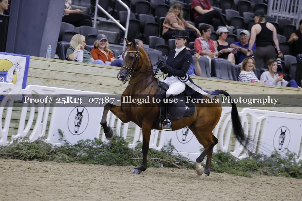 Proof Number 25R13_07387
