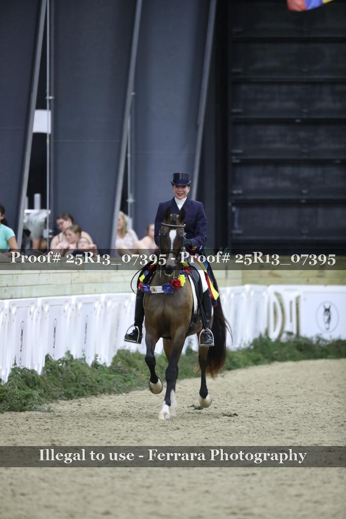 Proof Number 25R13_07395