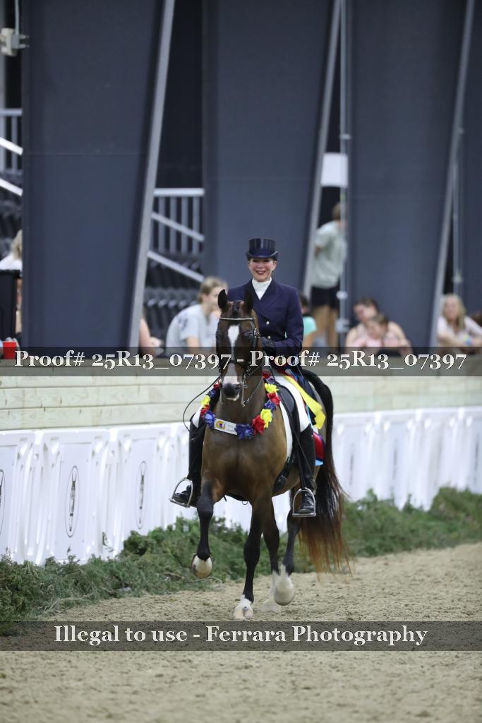 Proof Number 25R13_07397