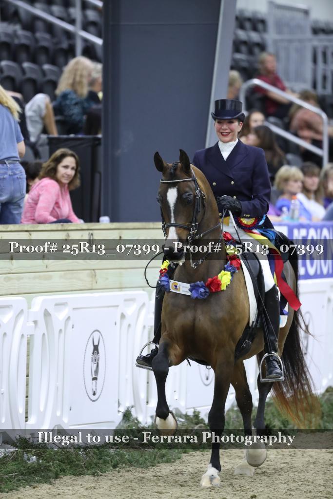 Proof Number 25R13_07399