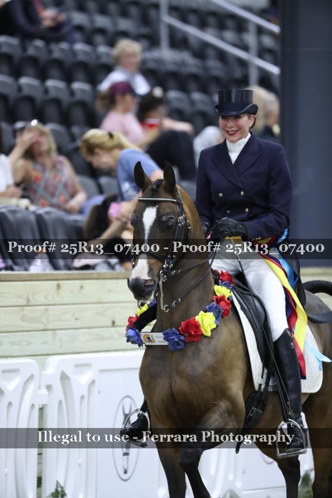 Proof Number 25R13_07400
