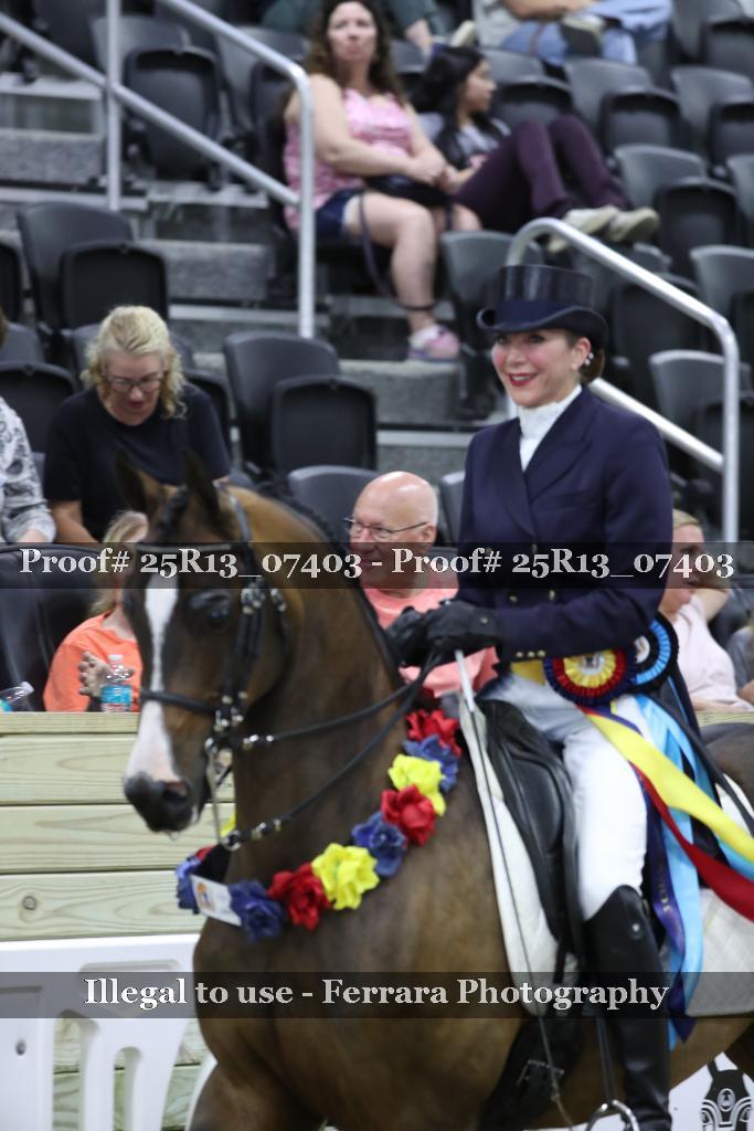 Proof Number 25R13_07403