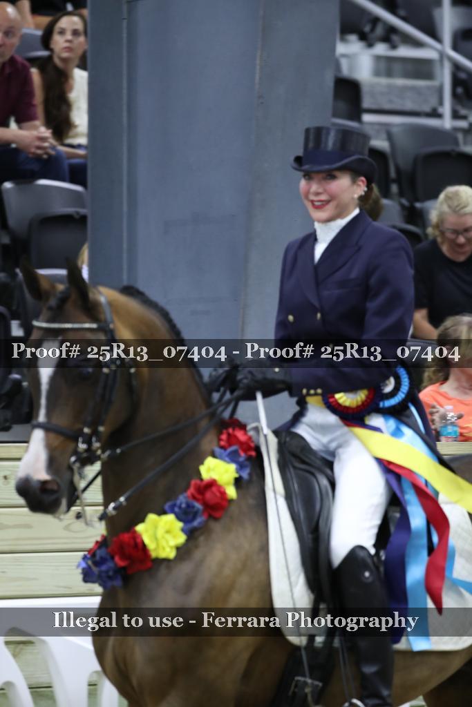 Proof Number 25R13_07404