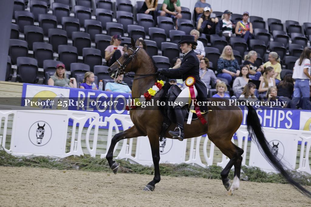 Proof Number 25R13_07407