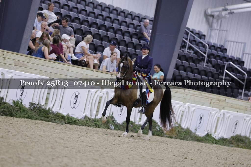 Proof Number 25R13_07410