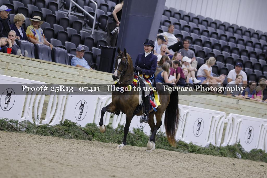 Proof Number 25R13_07411