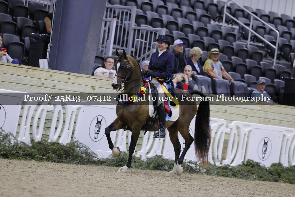 Proof Number 25R13_07412