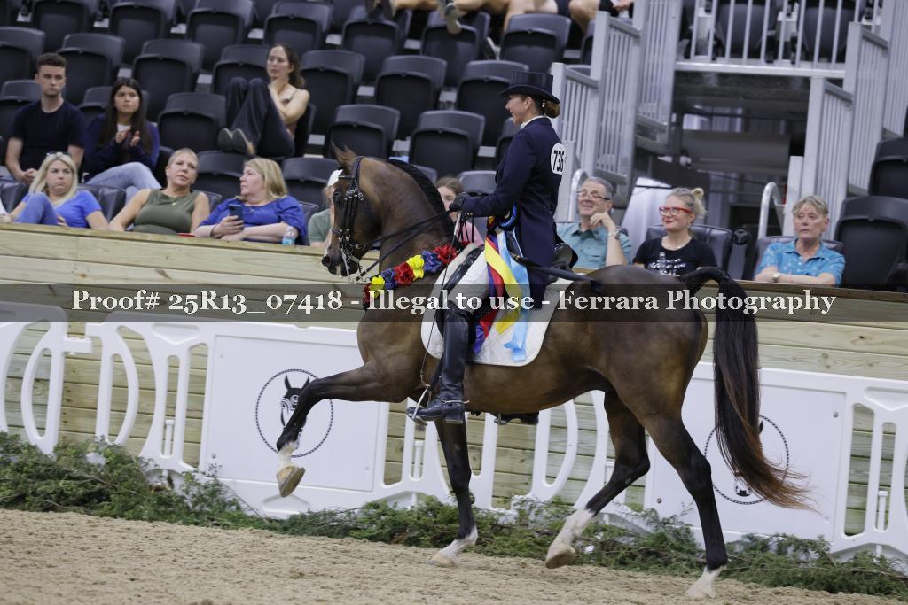 Proof Number 25R13_07418