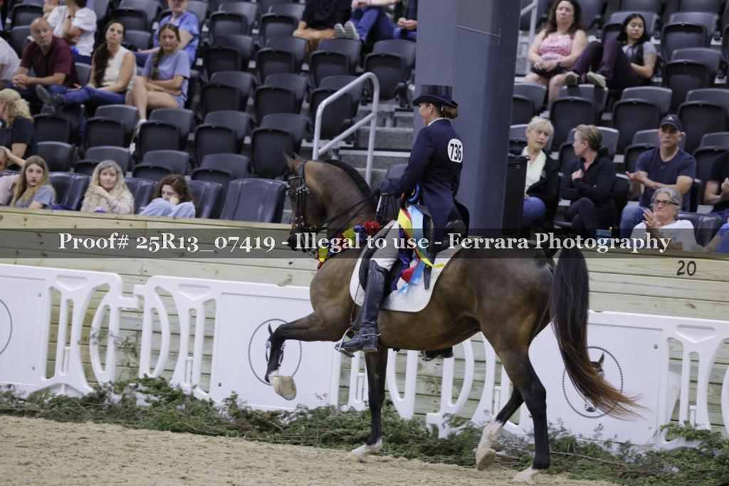 Proof Number 25R13_07419