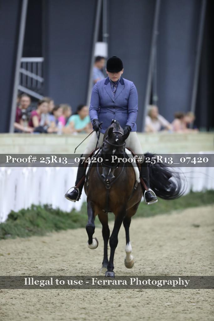 Proof Number 25R13_07420