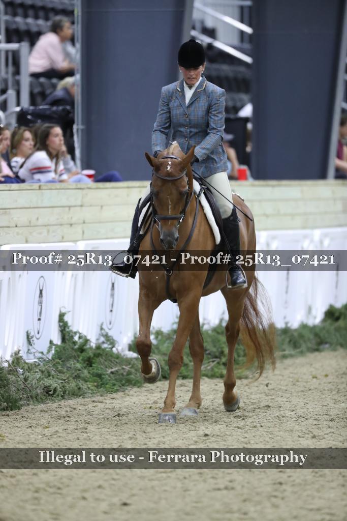 Proof Number 25R13_07421
