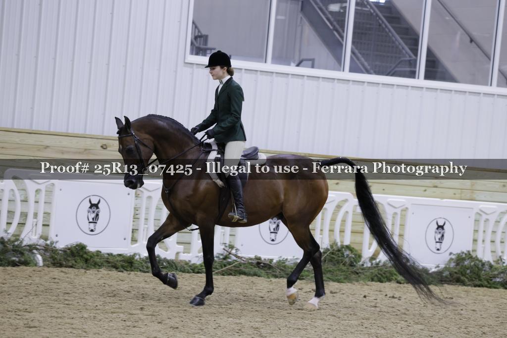 Proof Number 25R13_07425