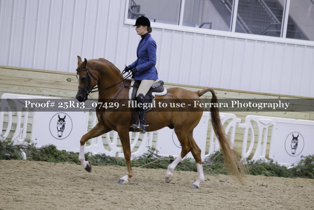 Proof Number 25R13_07429