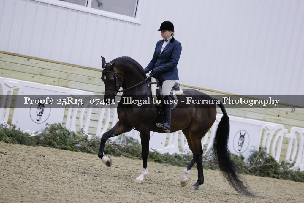 Proof Number 25R13_07431