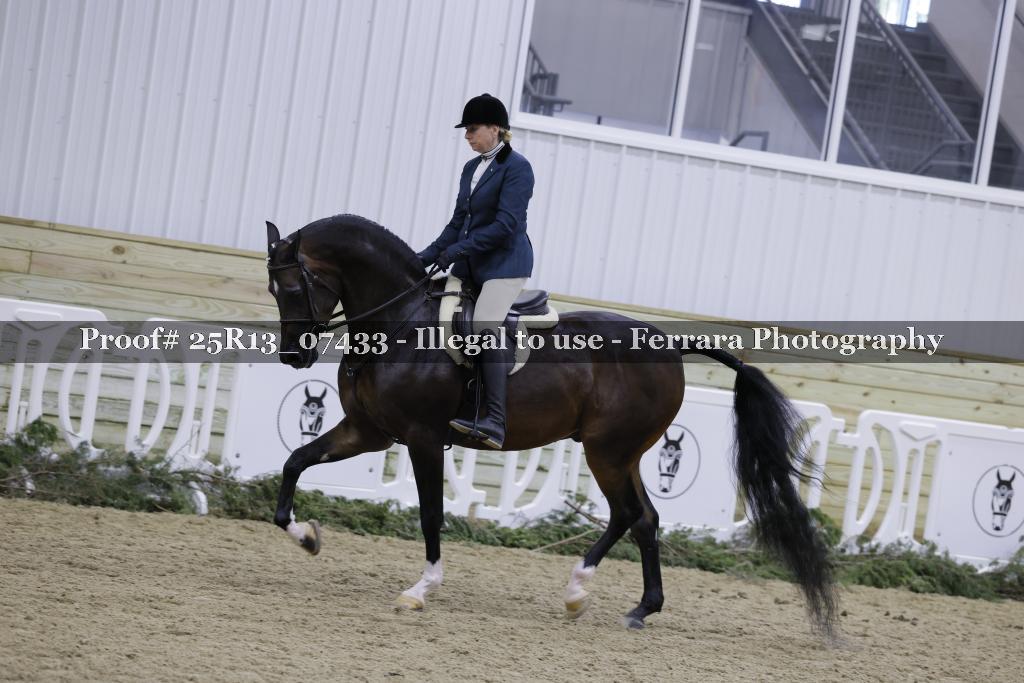 Proof Number 25R13_07433