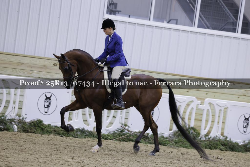 Proof Number 25R13_07434