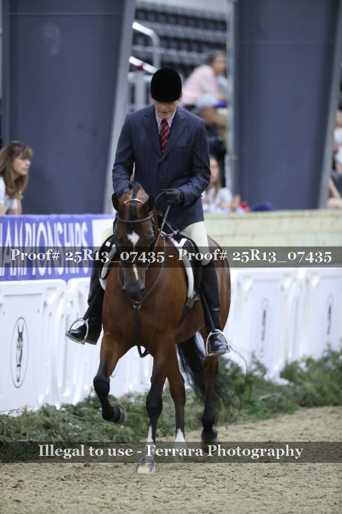 Proof Number 25R13_07435