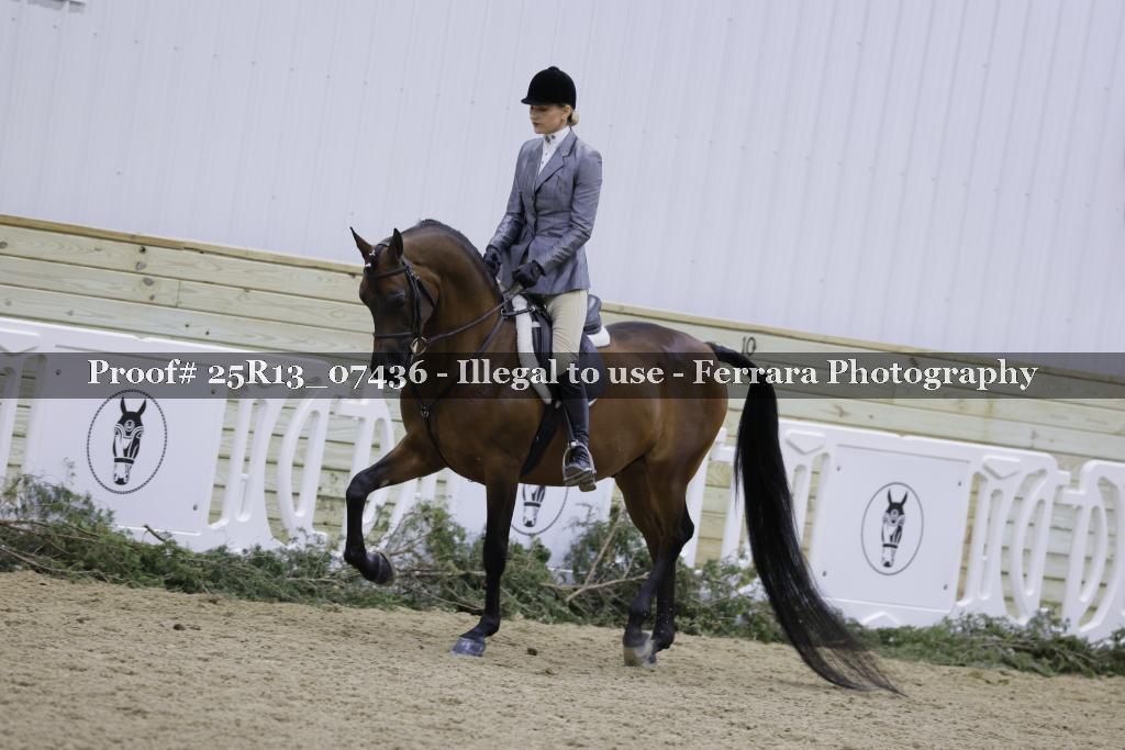 Proof Number 25R13_07436