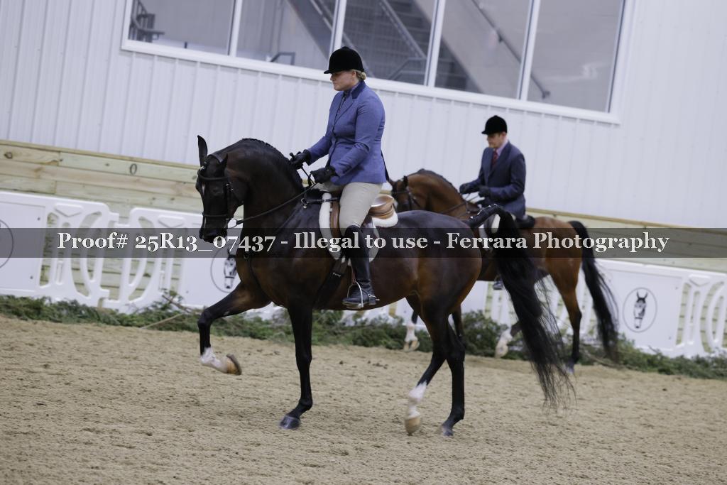 Proof Number 25R13_07437