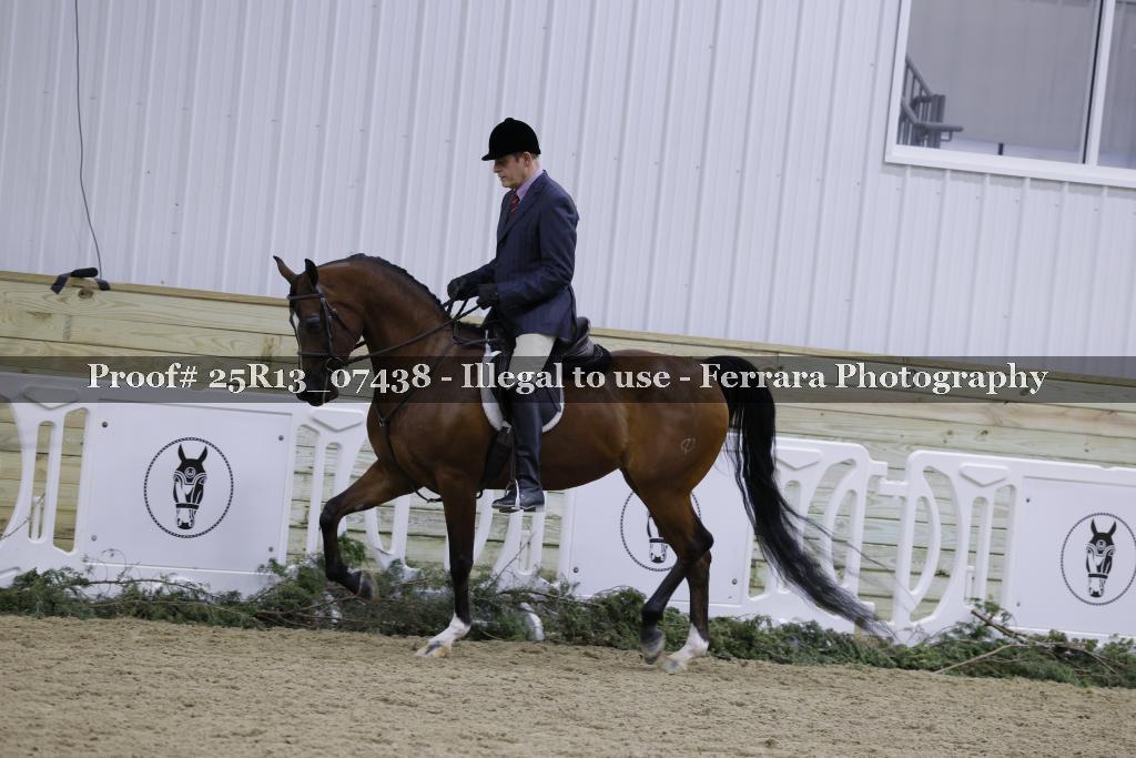 Proof Number 25R13_07438