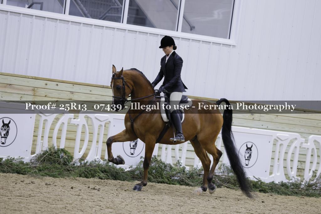 Proof Number 25R13_07439