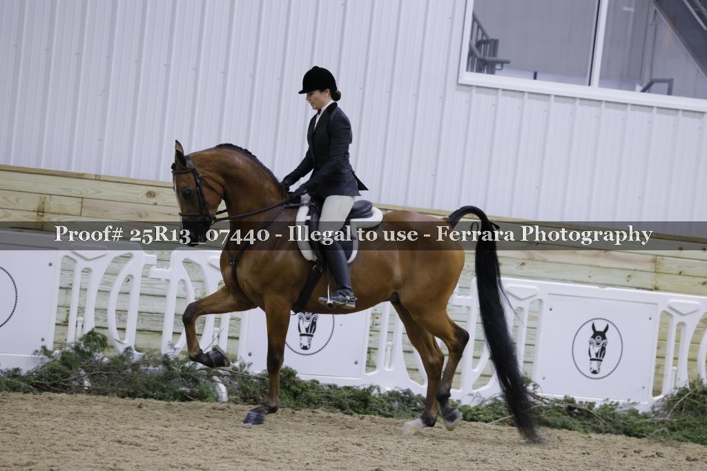 Proof Number 25R13_07440
