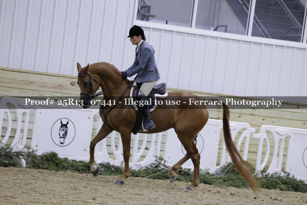 Proof Number 25R13_07441