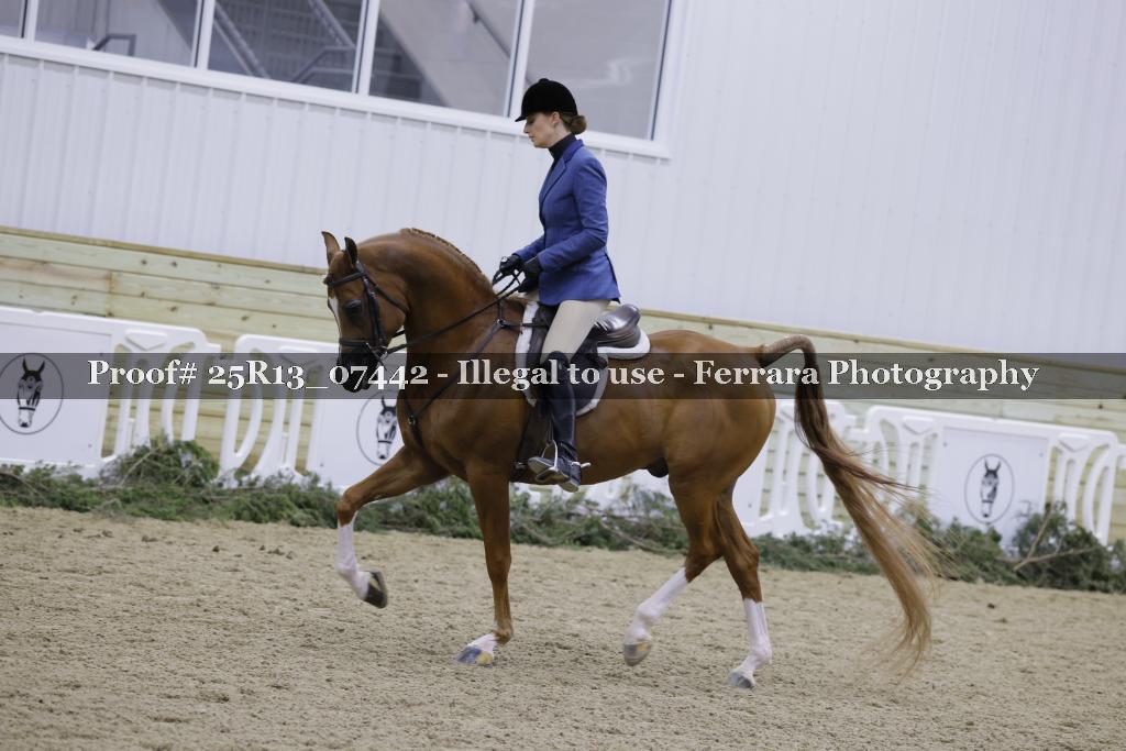 Proof Number 25R13_07442