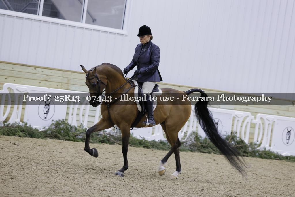 Proof Number 25R13_07443