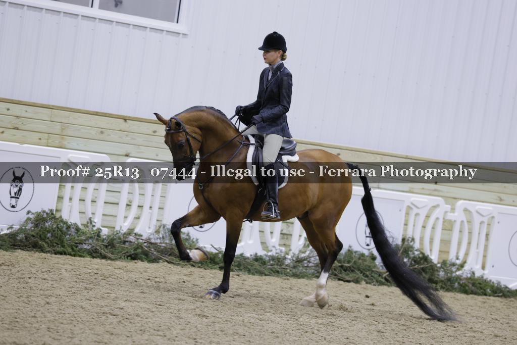 Proof Number 25R13_07444