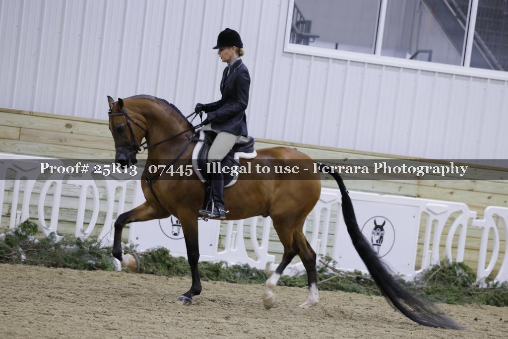 Proof Number 25R13_07445