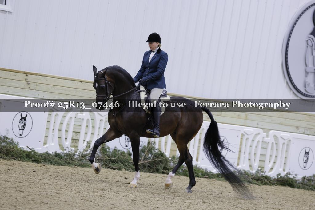 Proof Number 25R13_07446