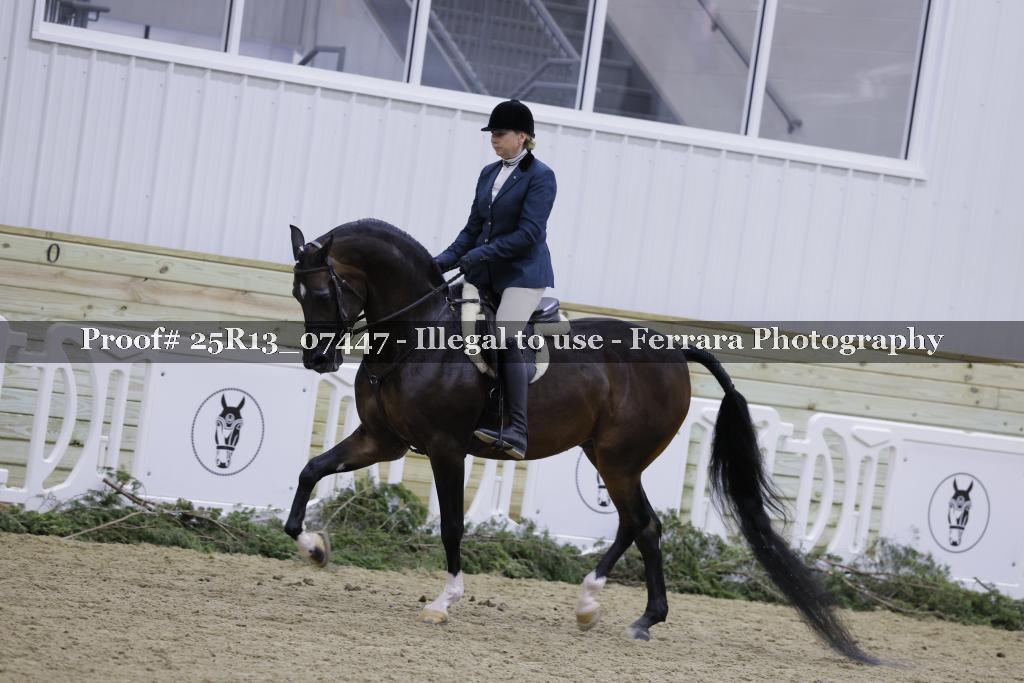 Proof Number 25R13_07447