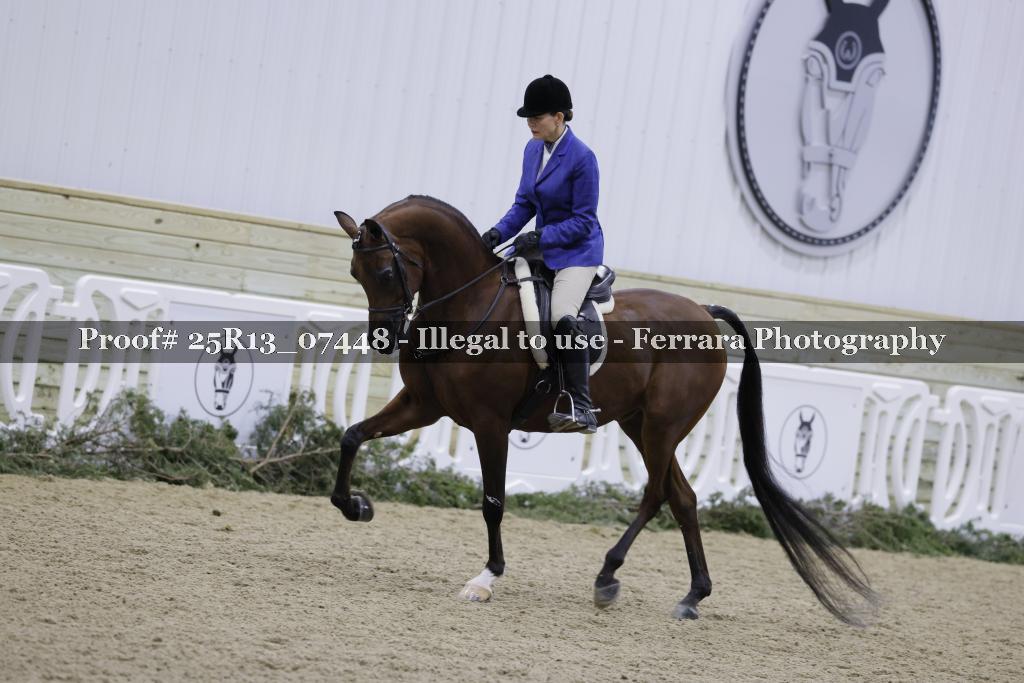 Proof Number 25R13_07448