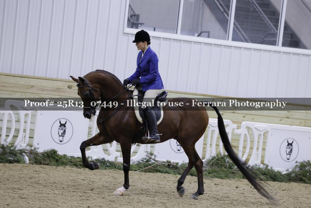 Proof Number 25R13_07449