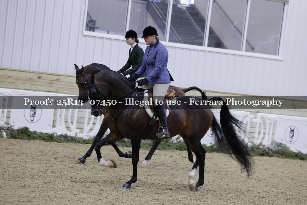 Proof Number 25R13_07450