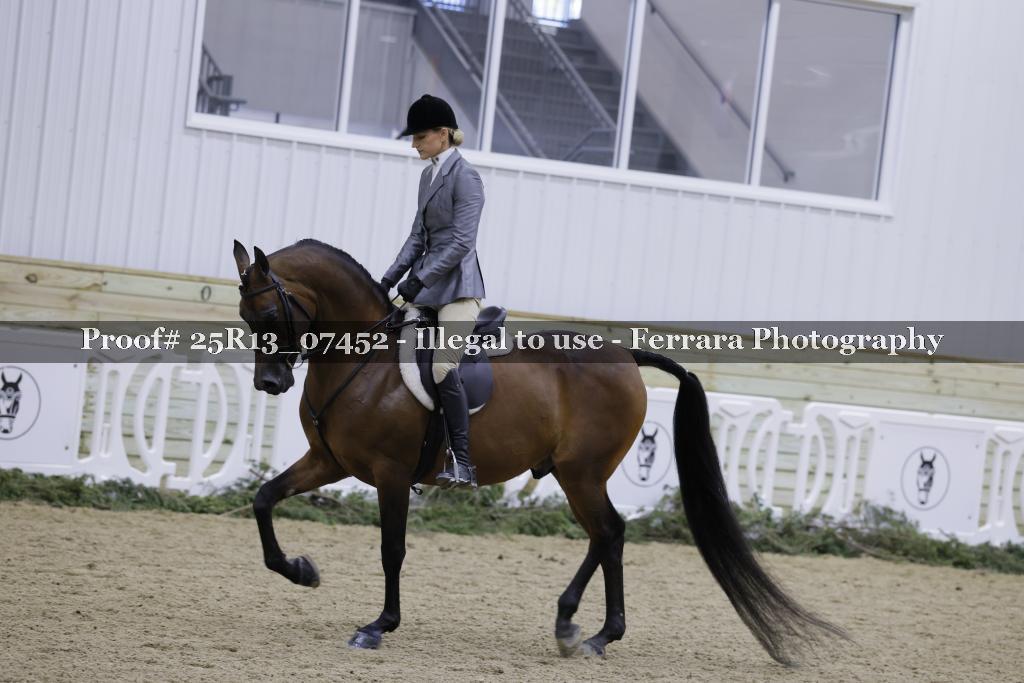 Proof Number 25R13_07452