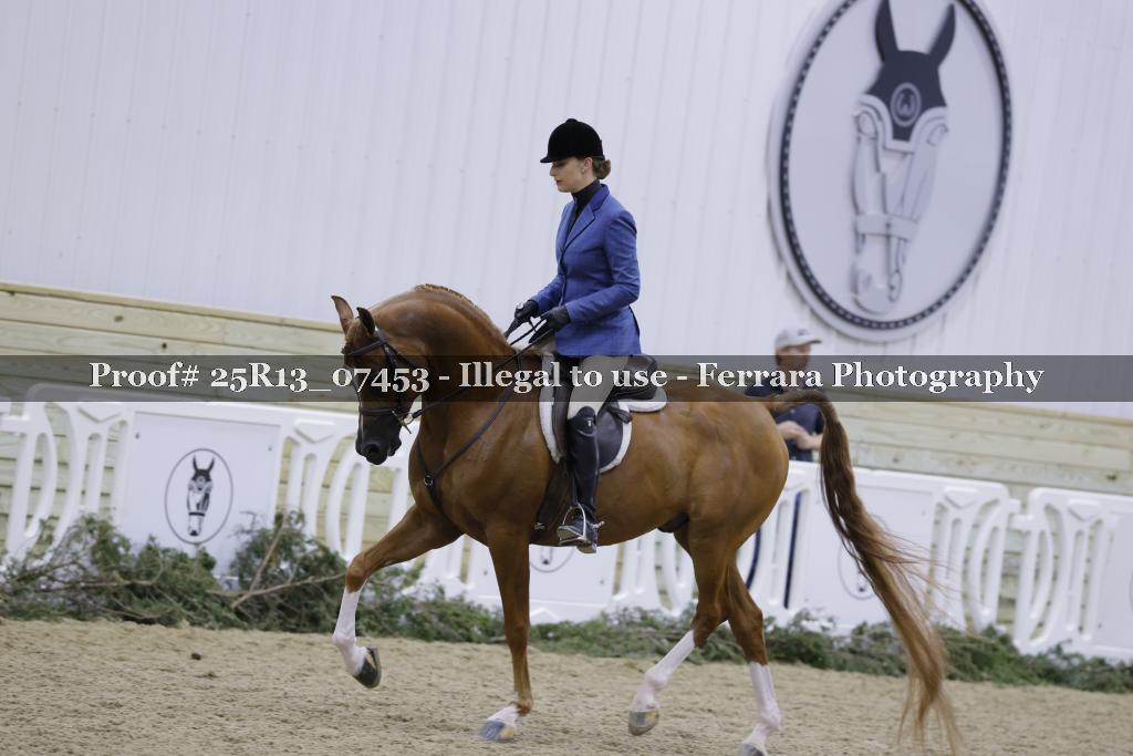 Proof Number 25R13_07453