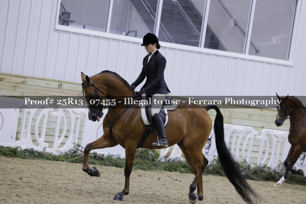 Proof Number 25R13_07455