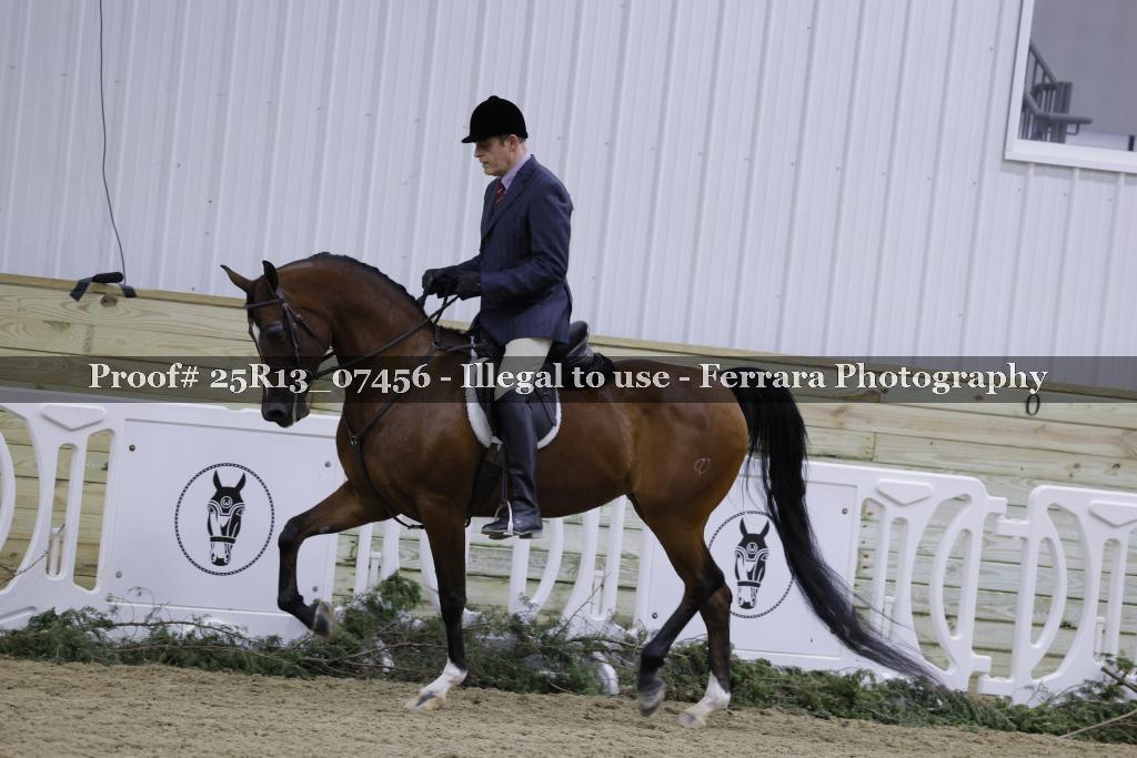 Proof Number 25R13_07456