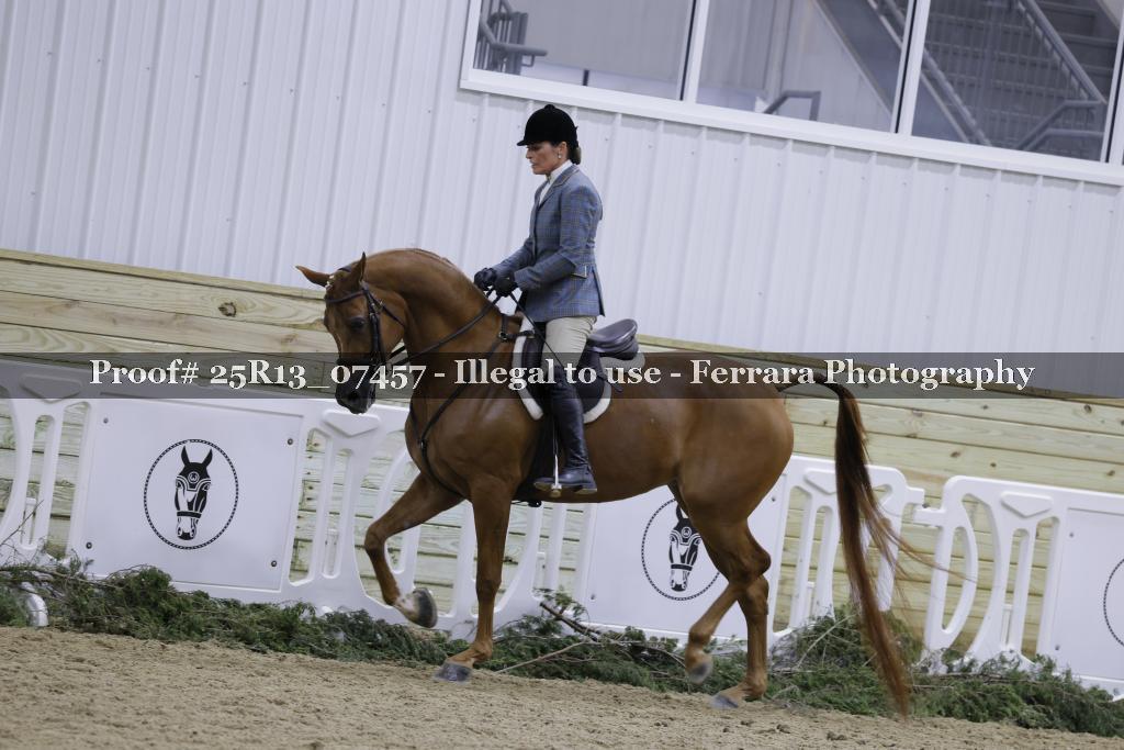 Proof Number 25R13_07457