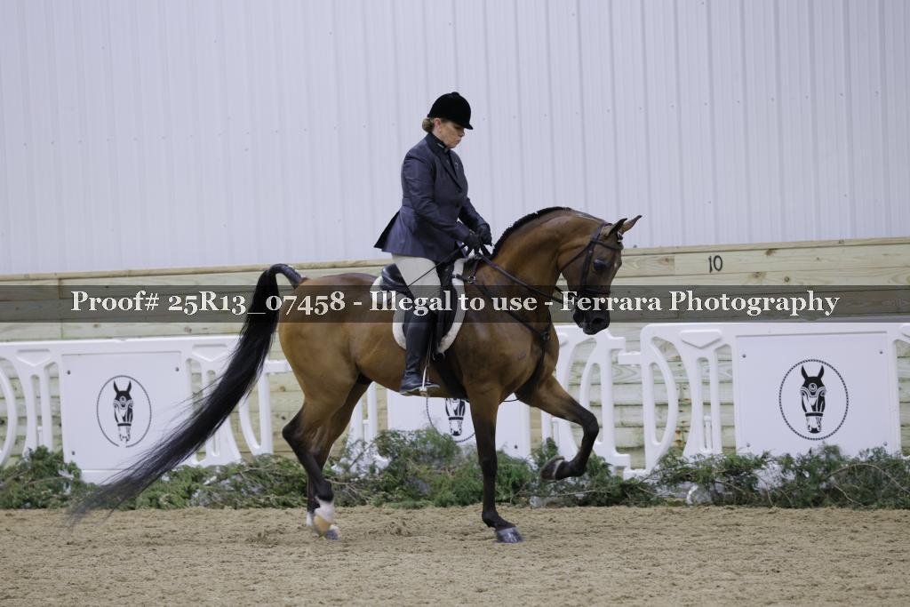 Proof Number 25R13_07458