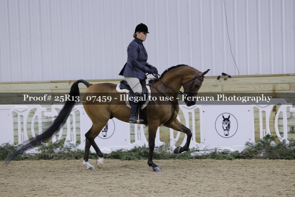 Proof Number 25R13_07459
