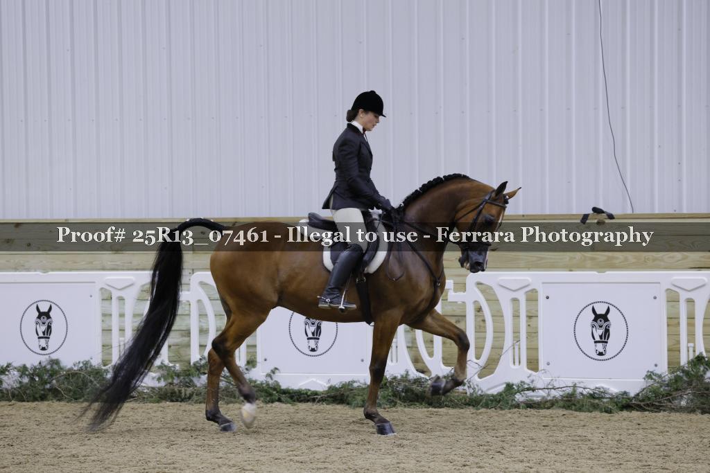 Proof Number 25R13_07461