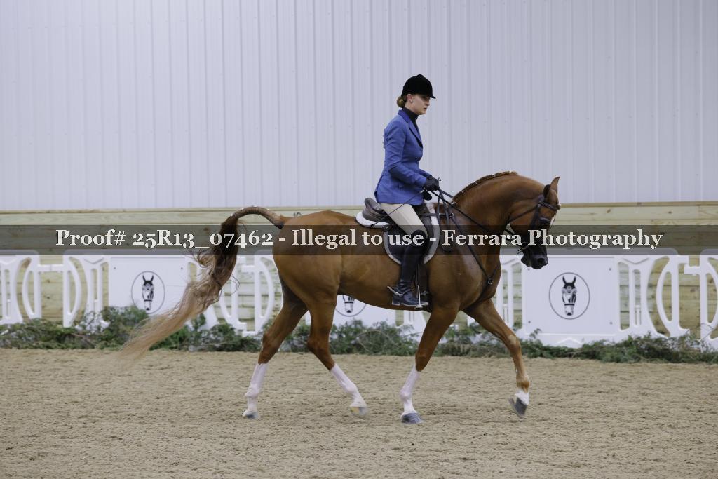 Proof Number 25R13_07462
