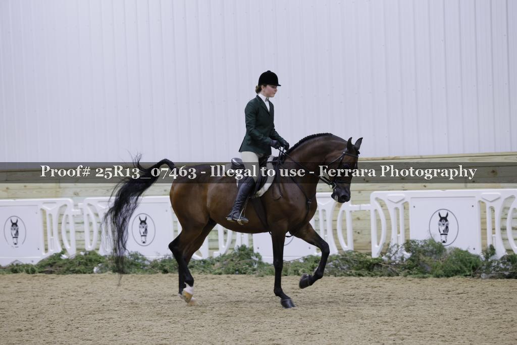 Proof Number 25R13_07463